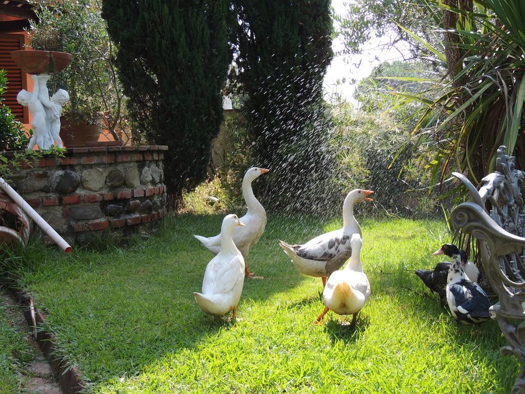 Il Cipresso Del Gallo Монтекатини-Терме Экстерьер фото